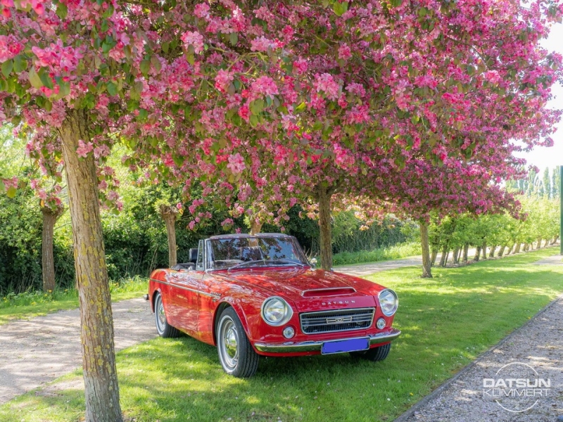 Datsun Roadster